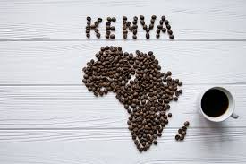 Kenya Single Origin Coffee (Nyeri – Othaya)